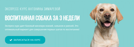 1643723379499 1643723379499