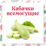 1660624365666 1 1660624365666 1
