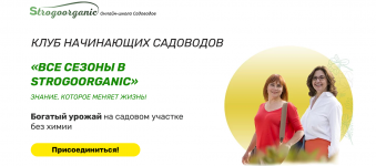 1637645189260 1637645189260