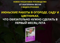 1624538430804 1624538430804