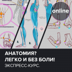 1687275611881 1687275611881