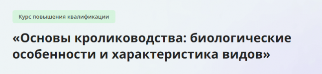 1708637942892 1708637942892