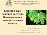 1708722303239 1708722303239