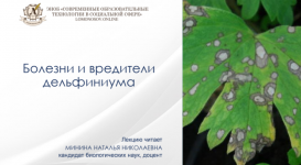 1708723464543 1708723464543