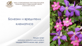 1708723677517 1708723677517