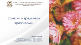 1708724687526 1708724687526