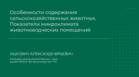 1708978132039 1708978132039