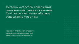 1708978433305 1708978433305