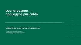 1708982373965 1708982373965