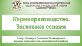 1709059541255 1709059541255