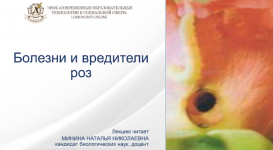 1709154353954 1709154353954