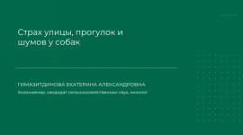1709059977547 1709059977547