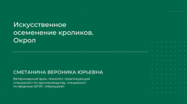 1711466355875 1711466355875