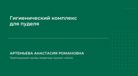 1711740209804 1711740209804