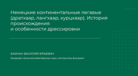 1711741165737 1711741165737