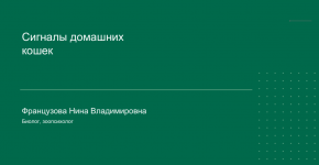 1716034259277 1716034259277