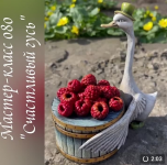 1716120426559 1716120426559